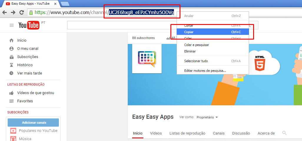 Indicação de como copiar o ID do canal de Youtube