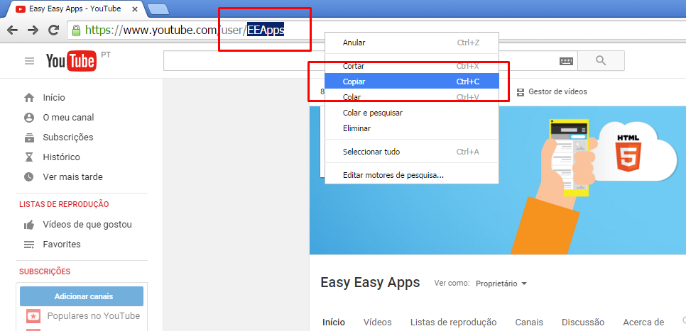 Indicação de como copiar o nome de usuário do Youtube